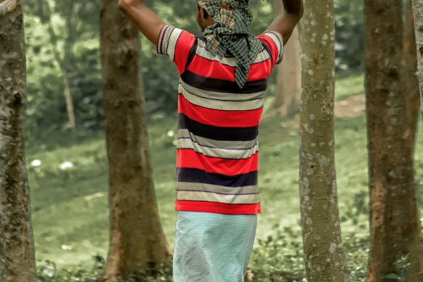 শিশু চিত্র