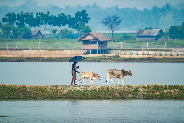 শিশু চিত্র