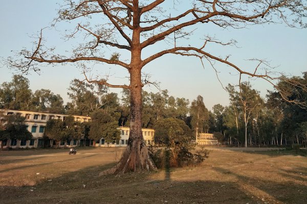 শিশু চিত্র