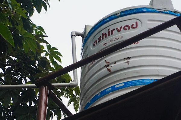 শিশু চিত্র